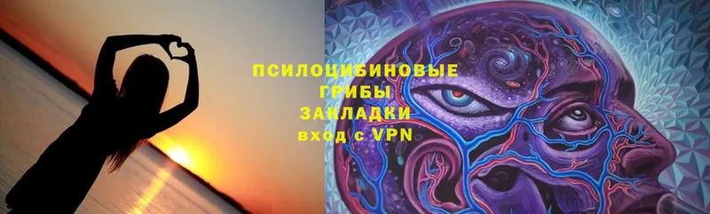 наркошоп  Устюжна  Галлюциногенные грибы Cubensis 